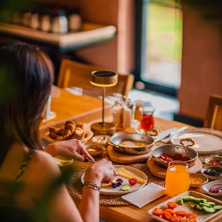 The Remote Sarıgerme